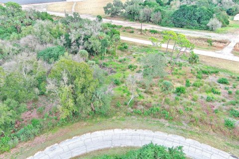 Land in LaBelle, Florida № 2160006 - photo 7