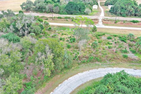 Land in LaBelle, Florida № 2160006 - photo 10