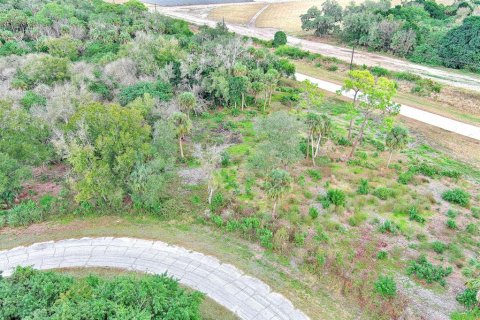 Land in LaBelle, Florida № 2160006 - photo 6