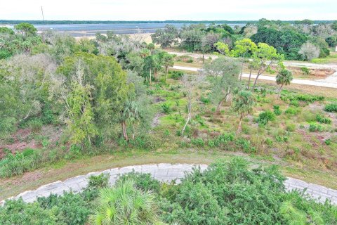 Land in LaBelle, Florida № 2160006
