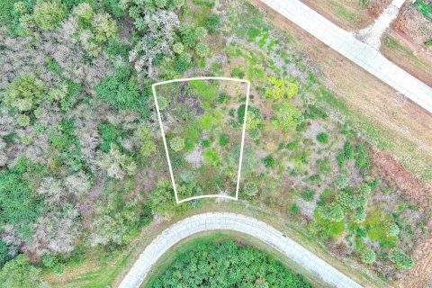 Land in LaBelle, Florida № 2160006 - photo 2