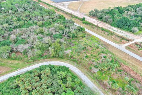Land in LaBelle, Florida № 2160006 - photo 16