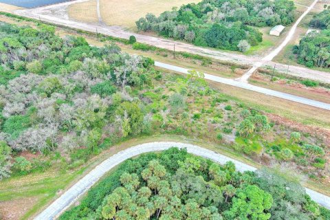 Land in LaBelle, Florida № 2160006 - photo 13