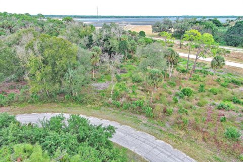Land in LaBelle, Florida № 2160006 - photo 3