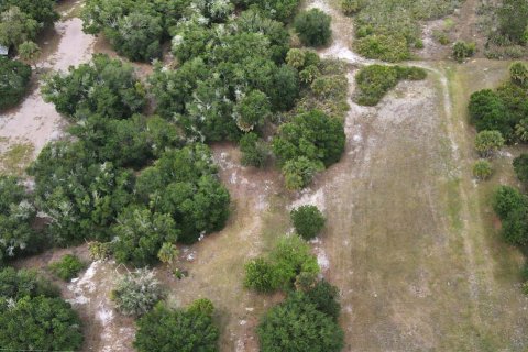Propiedad comercial en venta en Okeechobee, Florida № 2158328 - foto 5