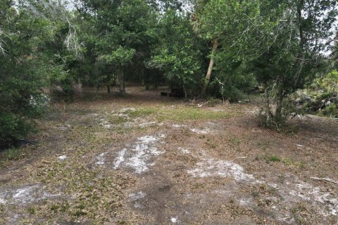 Propiedad comercial en venta en Okeechobee, Florida № 2158328 - foto 10