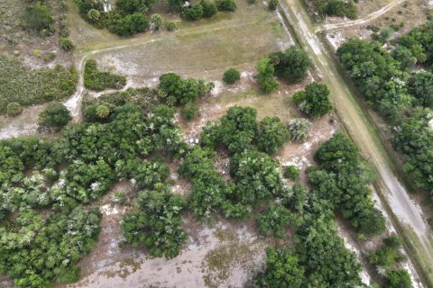 Propiedad comercial en venta en Okeechobee, Florida № 2158328 - foto 2