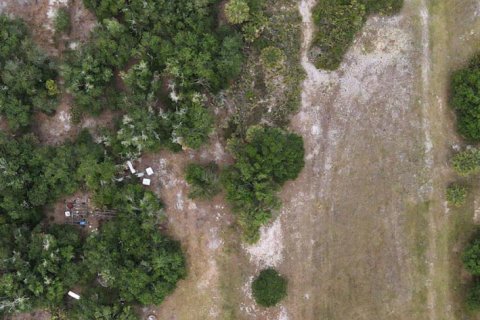 Propiedad comercial en Okeechobee, Florida № 2158328