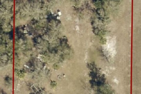 Propiedad comercial en venta en Okeechobee, Florida № 2158328 - foto 11