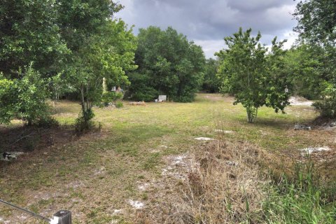 Propiedad comercial en venta en Okeechobee, Florida № 2158328 - foto 7