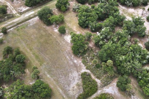 Propiedad comercial en venta en Okeechobee, Florida № 2158328 - foto 4