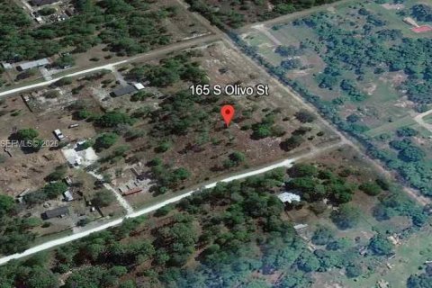 Terrain à Clewiston, Floride № 2071048