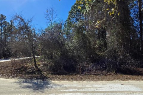 Land in Weeki Wachee, Florida № 2160906 - photo 7