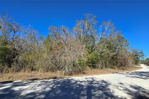 Land in Weeki Wachee, Florida № 2160906 - photo 4