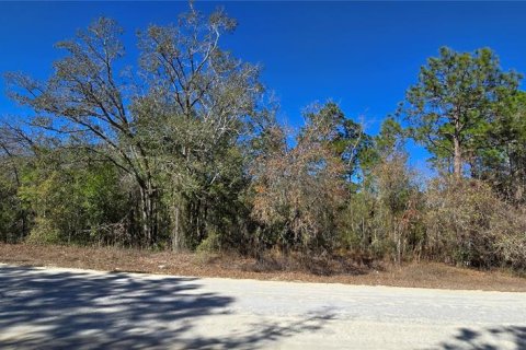 Land in Weeki Wachee, Florida № 2160906 - photo 2
