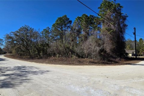 Land in Weeki Wachee, Florida № 2160906 - photo 5