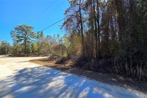 Land in Weeki Wachee, Florida № 2160906 - photo 6
