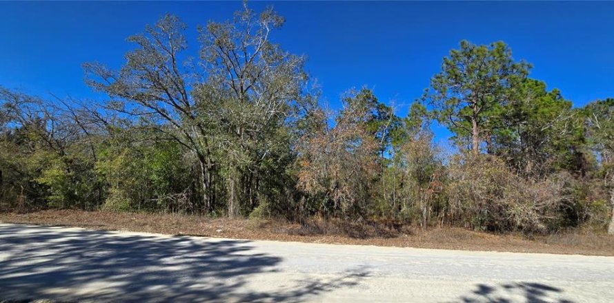 Land in Weeki Wachee, Florida № 2160906