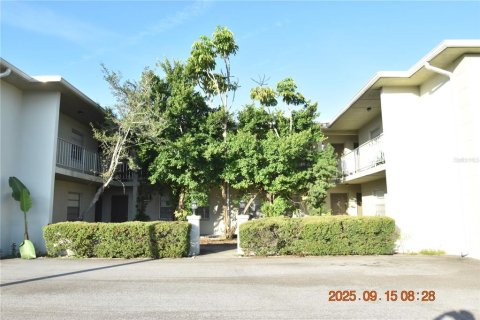 Apartamento en alquiler en Tampa, Florida, 1 dormitorio, 51.1 m2 № 1914030 - foto 3