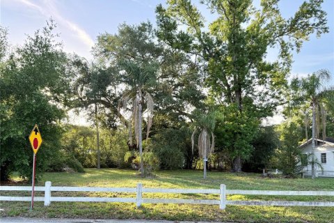 Terrain à Temple Terrace, Floride № 2220152