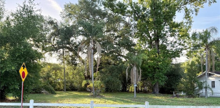 Land in Temple Terrace, Florida № 2220152