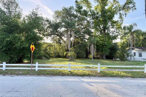 Land in Temple Terrace, Florida № 2220152 - photo 7