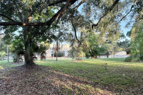 Land in Temple Terrace, Florida № 2220152 - photo 3