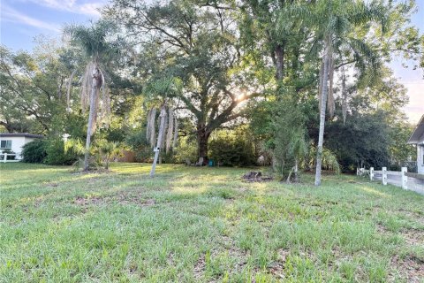 Land in Temple Terrace, Florida № 2220152 - photo 2