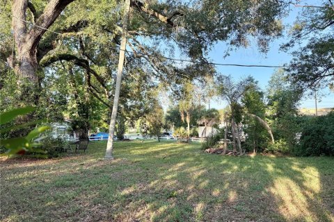 Land in Temple Terrace, Florida № 2220152 - photo 4