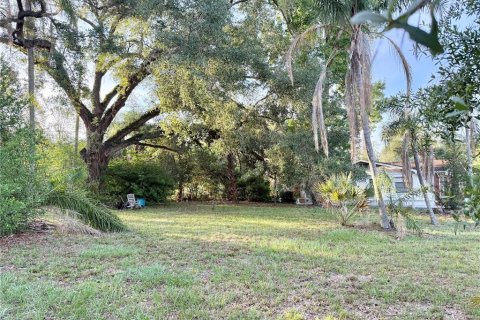 Land in Temple Terrace, Florida № 2220152 - photo 6