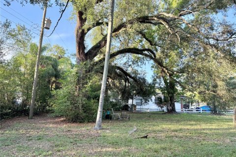 Land in Temple Terrace, Florida № 2220152 - photo 5