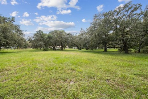 House in Webster, Florida 2 bedrooms, 114.46 sq.m. № 1903593 - photo 28