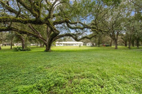 House in Webster, Florida 2 bedrooms, 114.46 sq.m. № 1903593 - photo 25