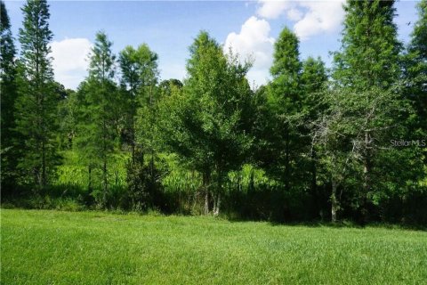 Adosado en alquiler en Wesley Chapel, Florida, 3 dormitorios, 147.53 m2 № 2223033 - foto 14