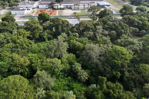 Land in St. Lucie, Florida № 2055008 - photo 9
