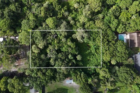 Land in St. Lucie, Florida № 2055008 - photo 1