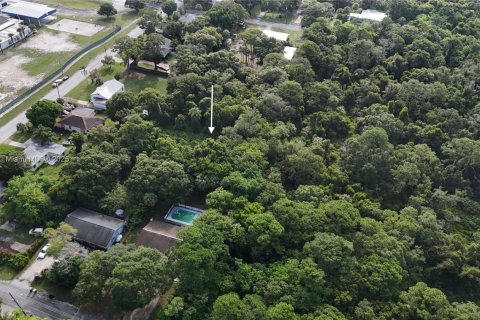 Land in St. Lucie, Florida № 2055008 - photo 6