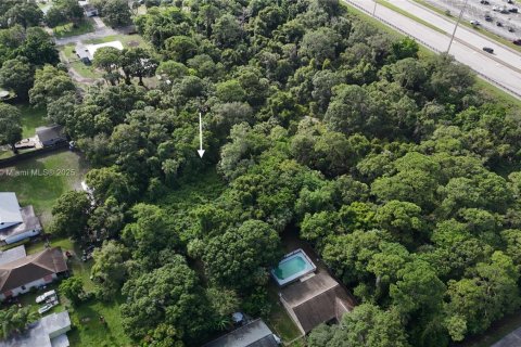 Land in St. Lucie, Florida № 2055008 - photo 3