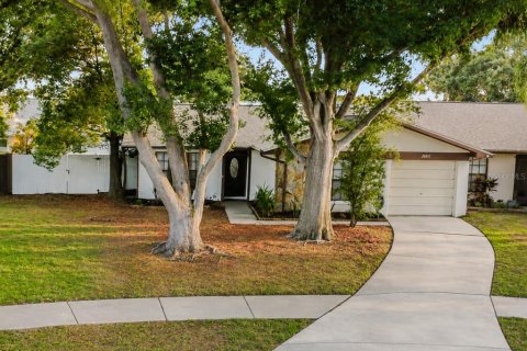 Villa ou maison à Oldsmar, Floride 2 chambres, 112.88 m2 № 2148186