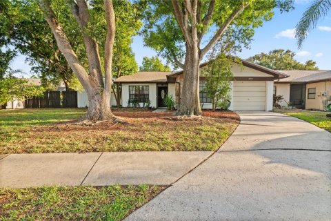 Villa ou maison à vendre à Oldsmar, Floride: 2 chambres, 112.88 m2 № 2148186 - photo 19
