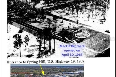 Commercial property in Spring Hill, Florida 423.45 sq.m. № 2217202 - photo 24