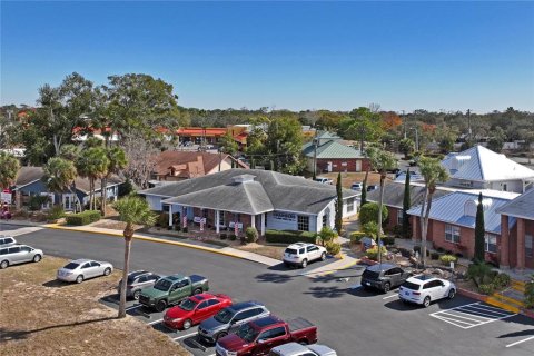 Commercial property in Spring Hill, Florida 423.45 sq.m. № 2217202 - photo 20