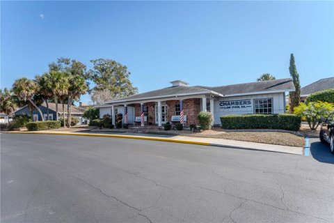 Commercial property in Spring Hill, Florida 423.45 sq.m. № 2217202 - photo 7