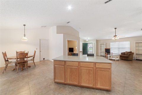 Villa ou maison à vendre à Leesburg, Floride: 3 chambres, 162.76 m2 № 1530799 - photo 12