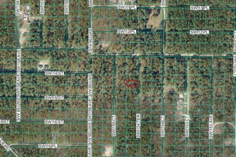 Land in Ocala, Florida № 2165426 - photo 3