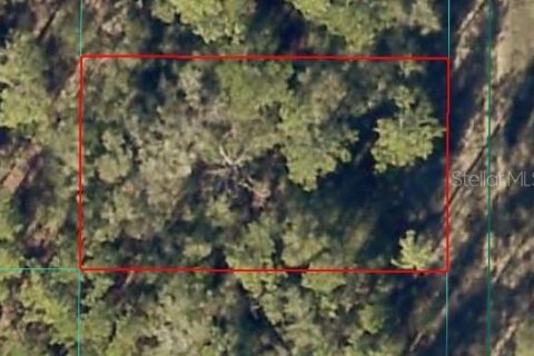 Land in Ocala, Florida № 2165426