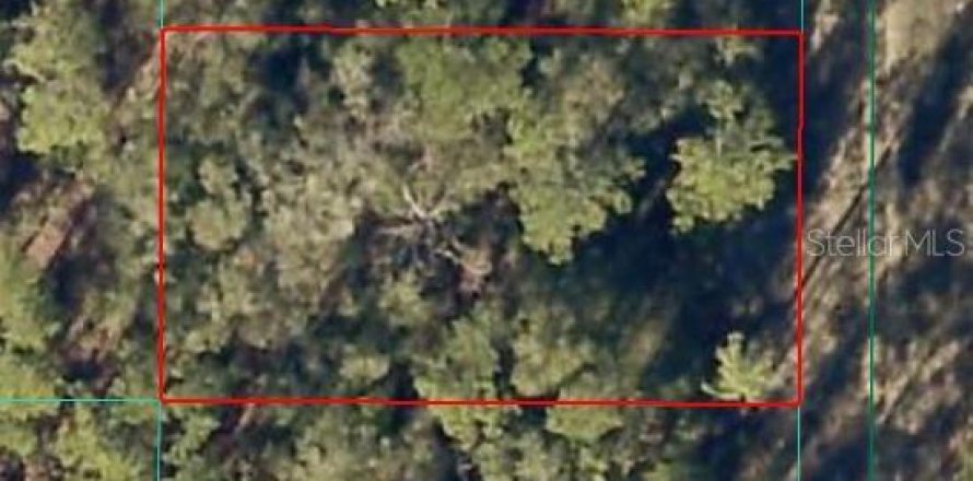Land in Ocala, Florida № 2165426