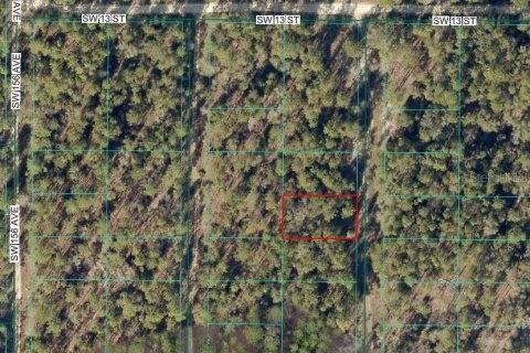 Land in Ocala, Florida № 2165426 - photo 2