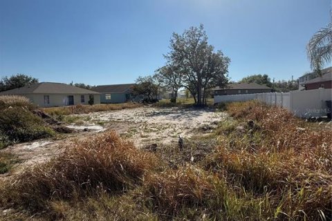 Land in Kissimmee, Florida № 1608625 - photo 7