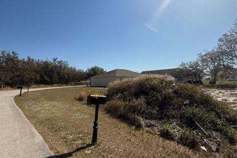 Land in Kissimmee, Florida № 1608625 - photo 2